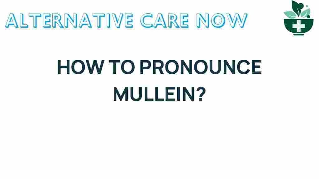 how-to-pronounce-mullein