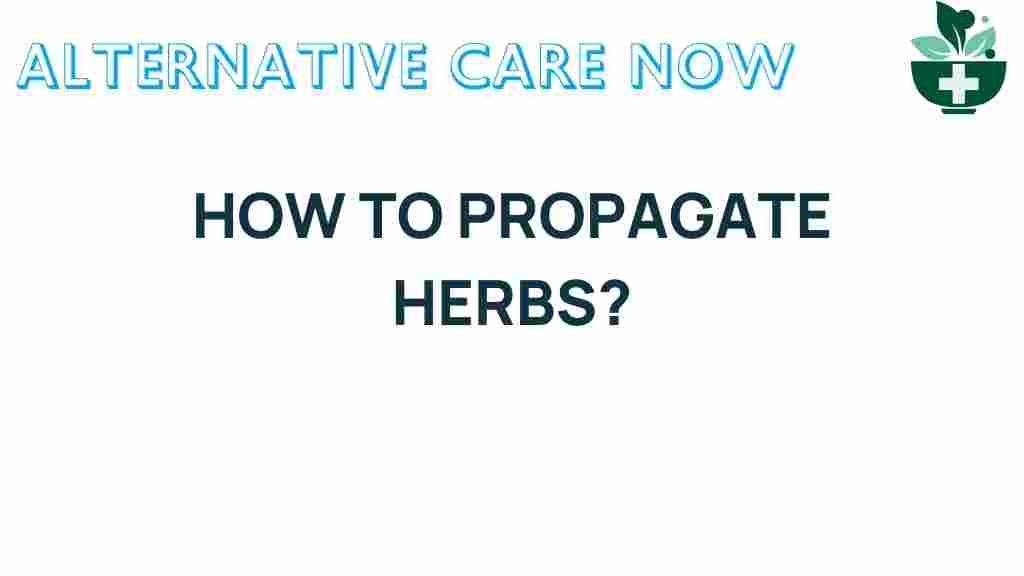 propagate-herbs-gardening-tips