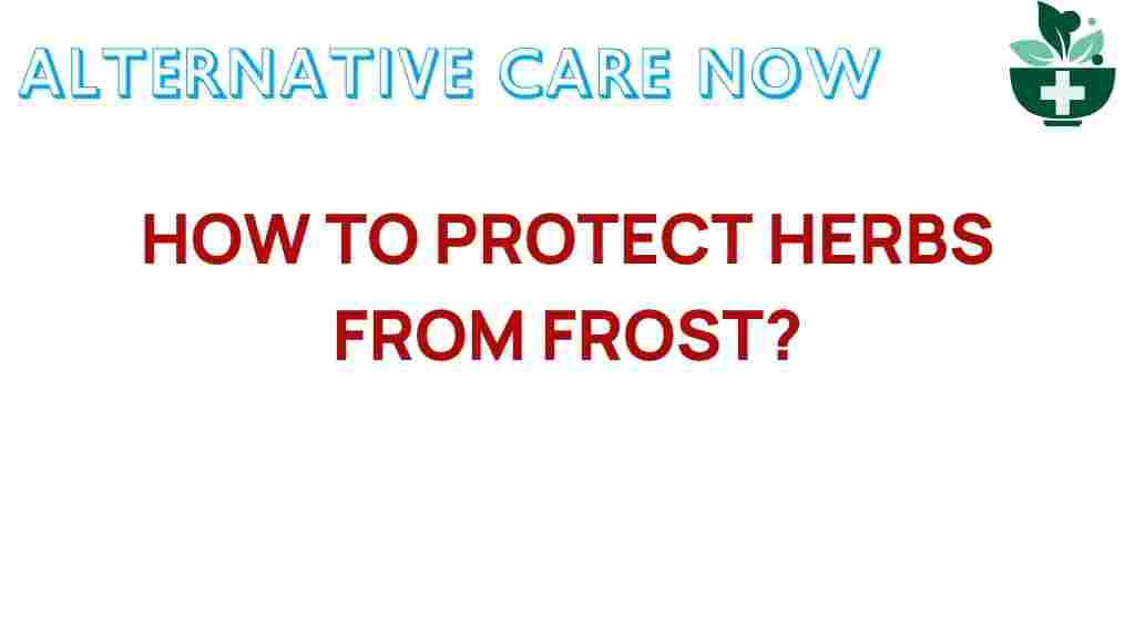 protect-herbs-from-frost