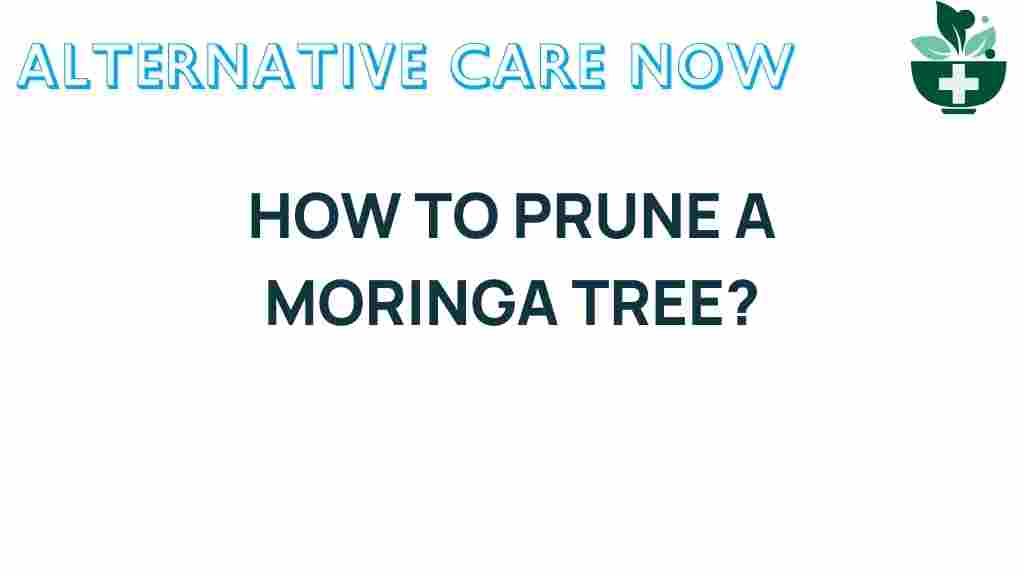 moringa-tree-pruning-techniques