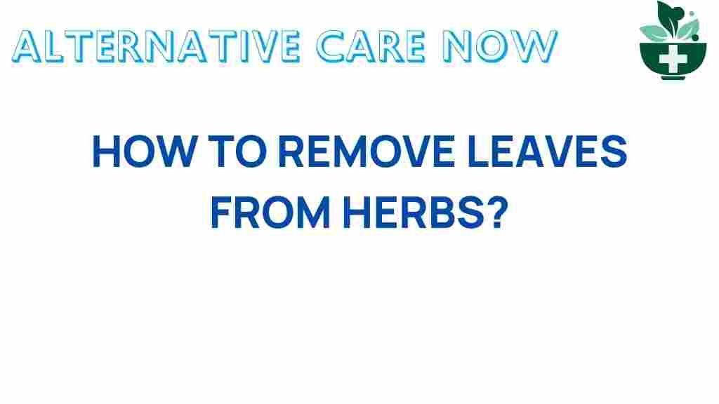 herb-leaf-removal-tips