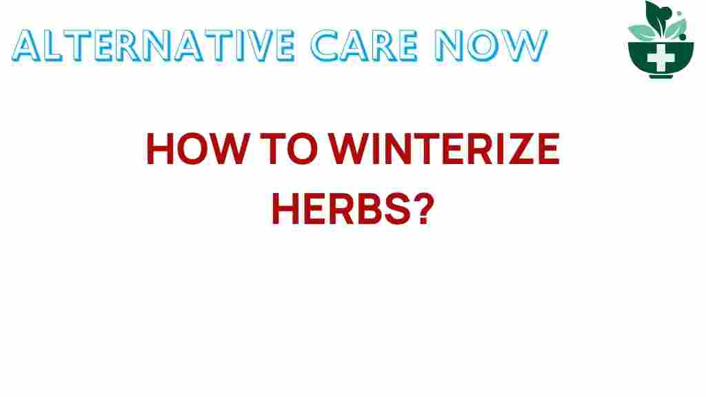 winterizing-herbs-guide