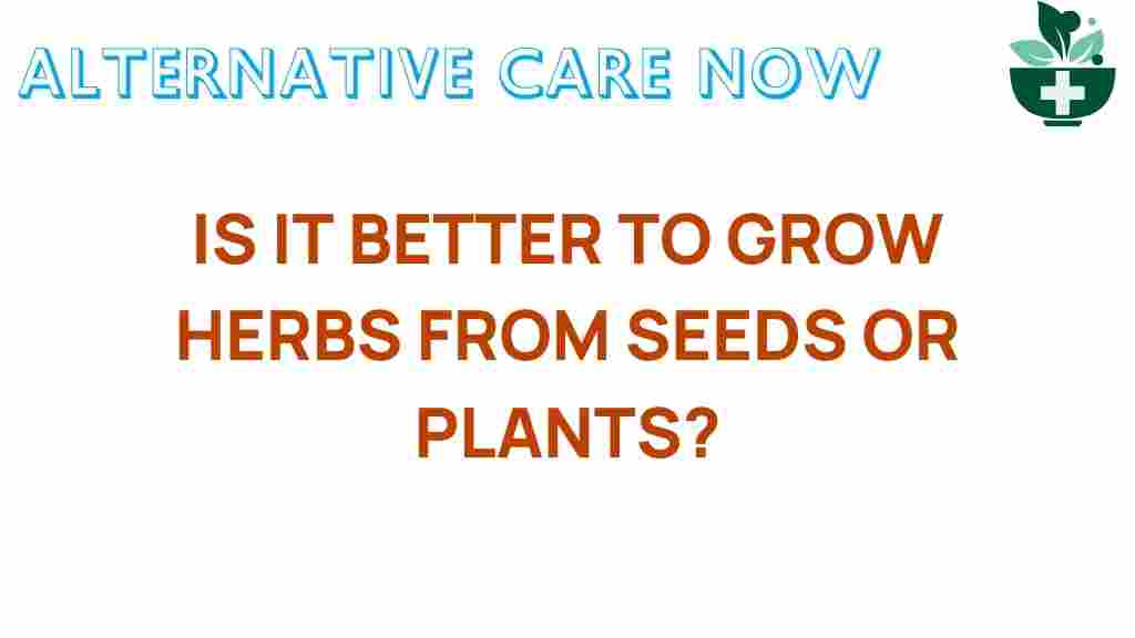 seeds-vs-plants-herb-gardening-debate