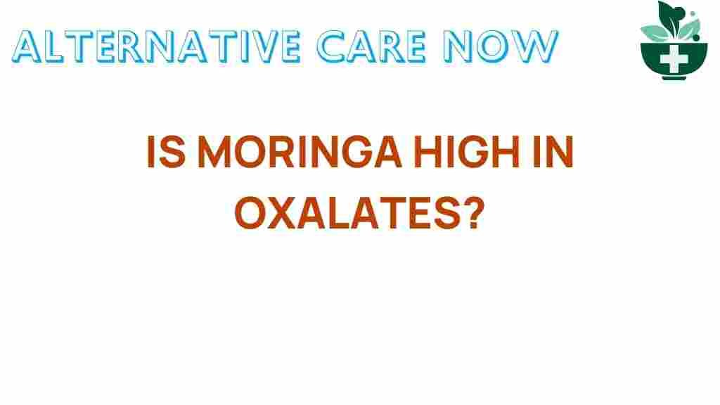 moringa-high-in-oxalates