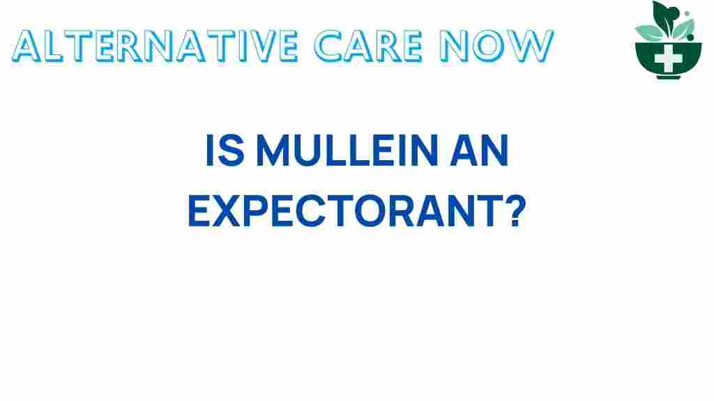 mullein-expectorant-secrets