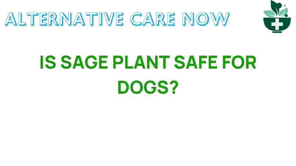 is-sage-for-dogs-safe