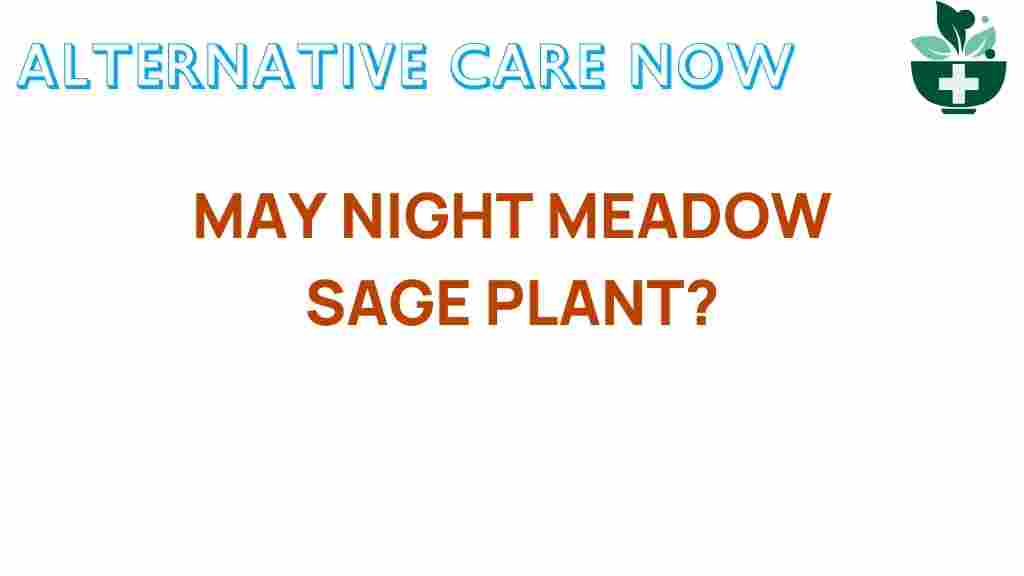 night-meadow-sage-secrets