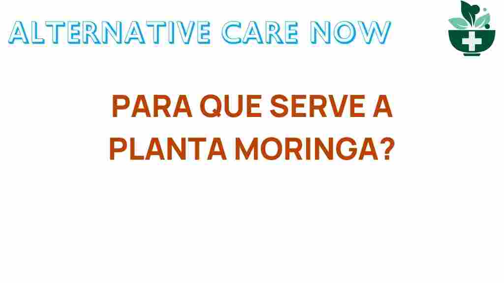 moringa-miracle-plant-uses