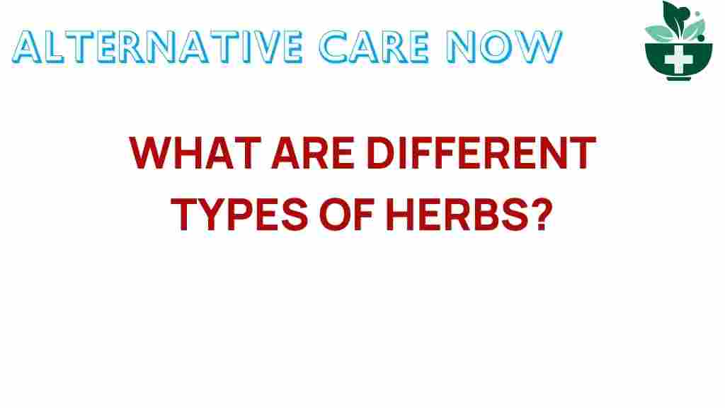 unlocking-secrets-different-types-herbs