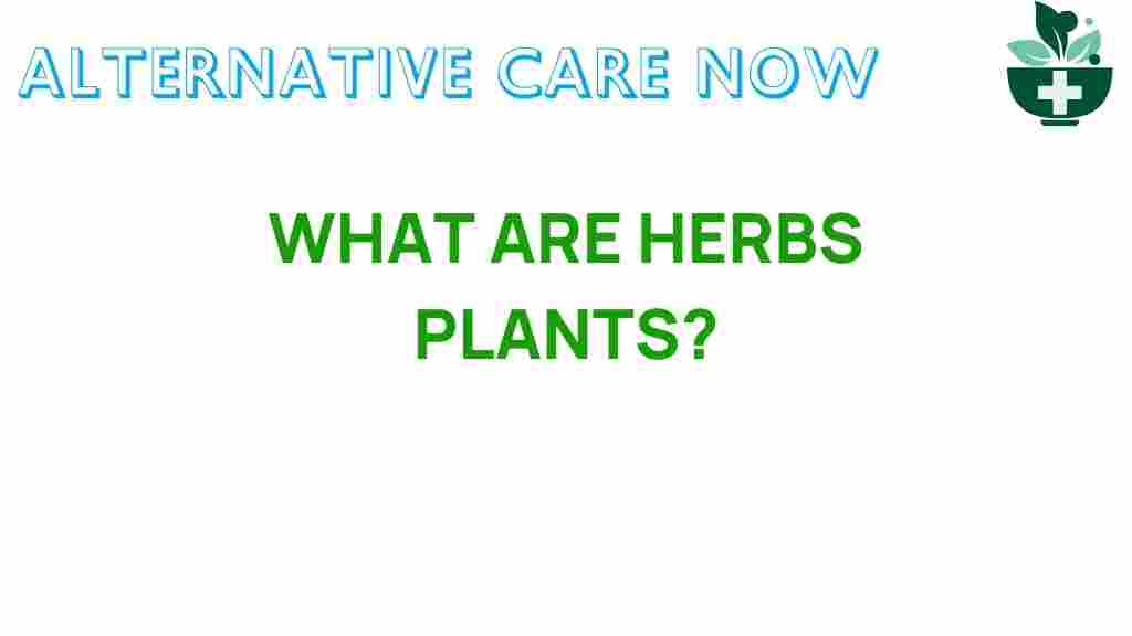 unveiling-herbs-plants