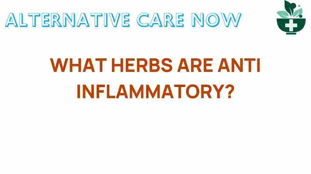 anti-inflammatory-herbs