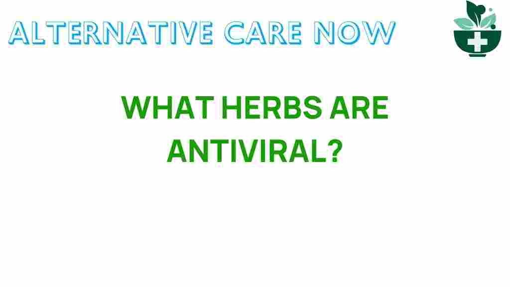 antiviral-herbs-nature-defenders