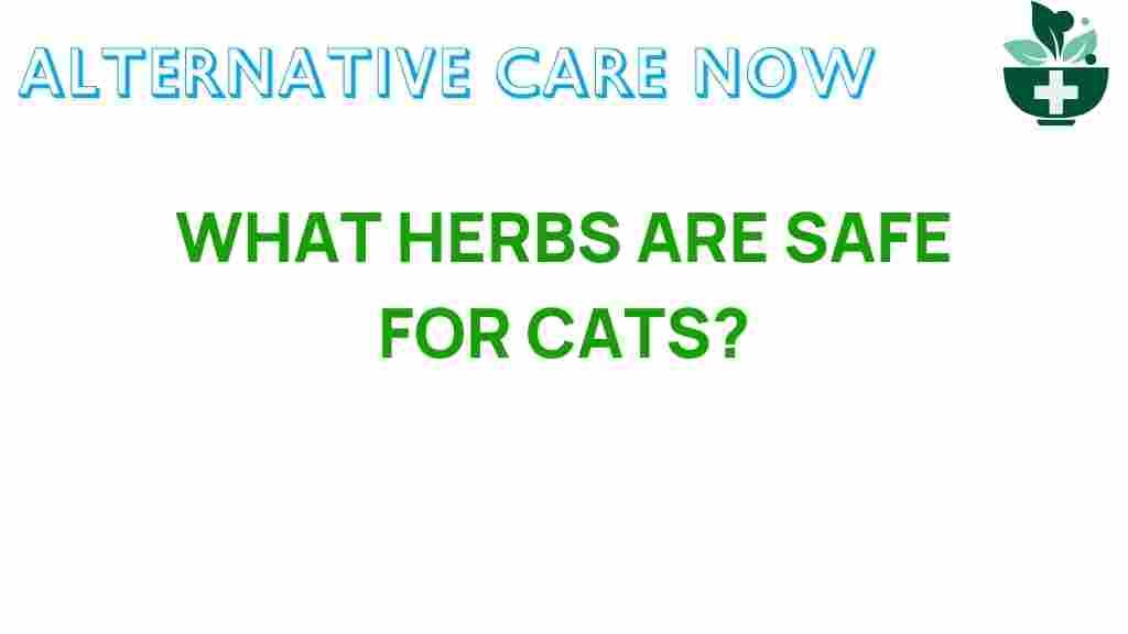 safe-herbs-for-cats