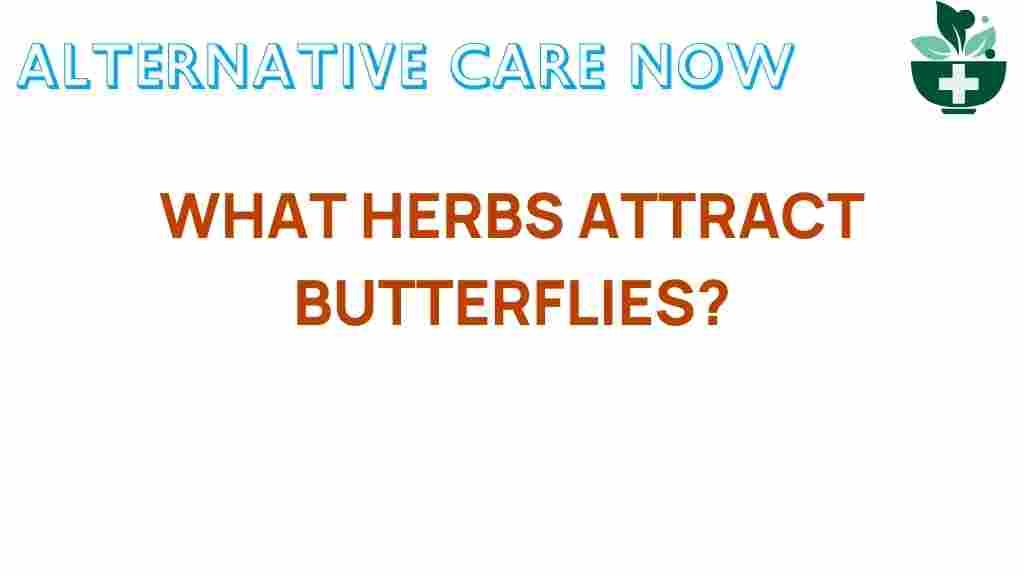 discover-herbs-attract-butterflies