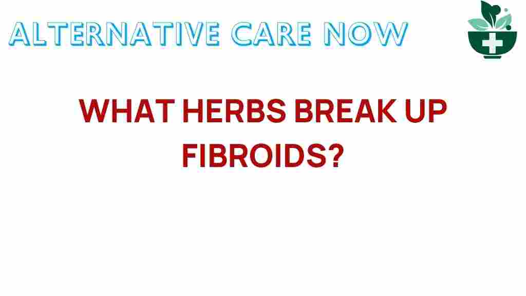 what-herbs-break-up-fibroids