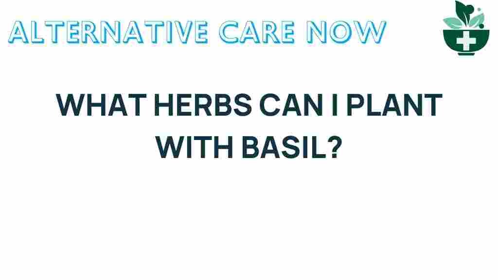 discover-companion-herbs-basil