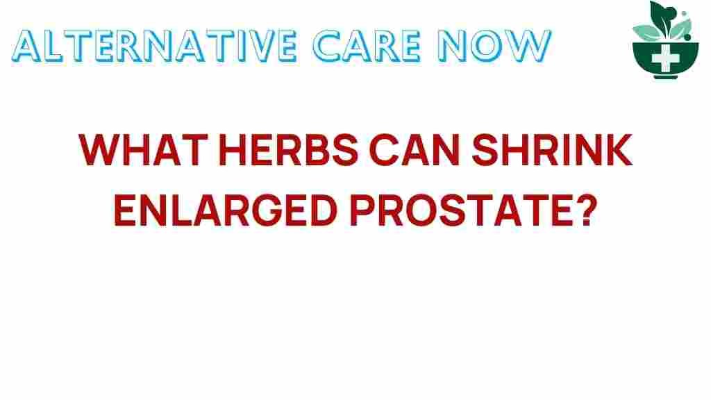 discover-herbs-shrink-enlarged-prostate