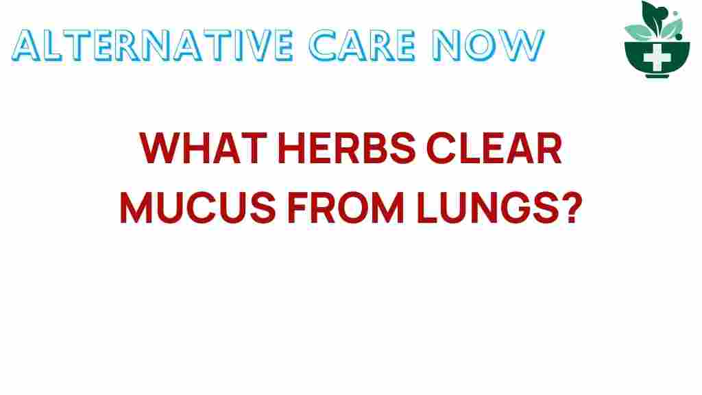 what-herbs-clear-mucus-from-lungs