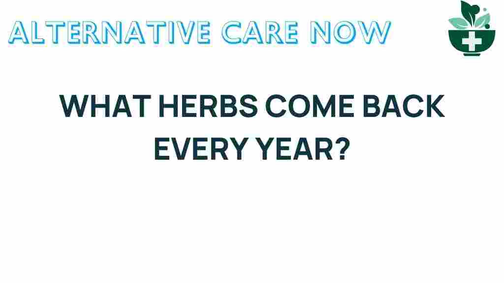 perennial-herbs-flourish-year