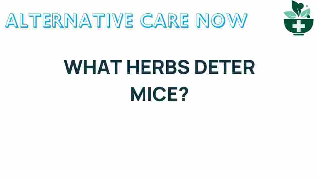 herbs-deter-mice
