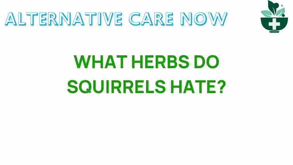 what-herbs-do-squirrels-hate