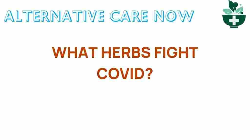 herbs-fight-covid