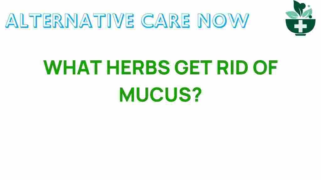 herbs-get-rid-of-mucus