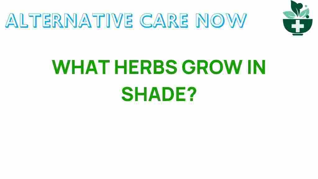 herbs-in-shade