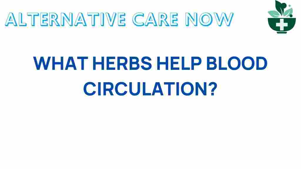 what-herbs-help-blood-circulation
