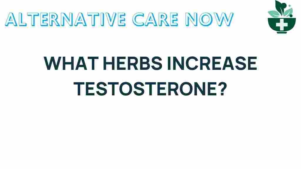 herbs-increase-testosterone