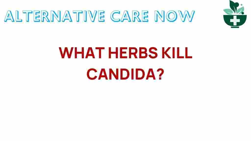 uncovering-herbs-combat-candida