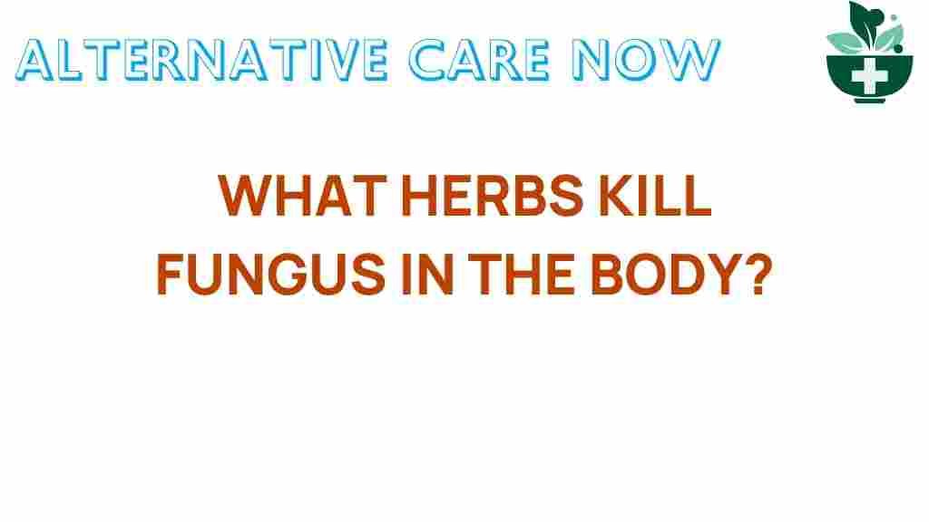 herbs-kill-fungus-body