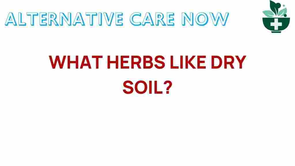 discover-herbs-dry-soil