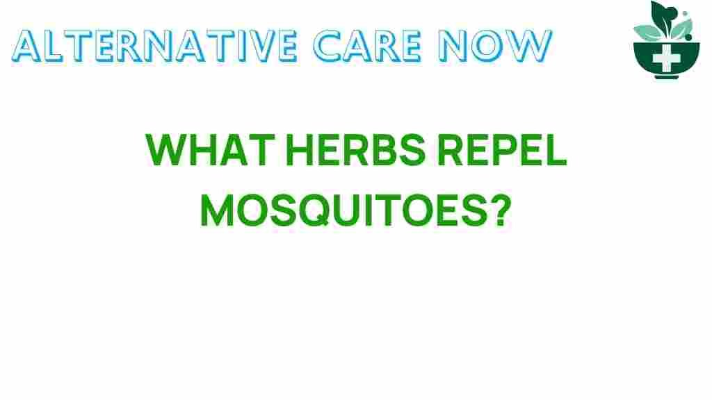 discover-herbs-repel-mosquitoes