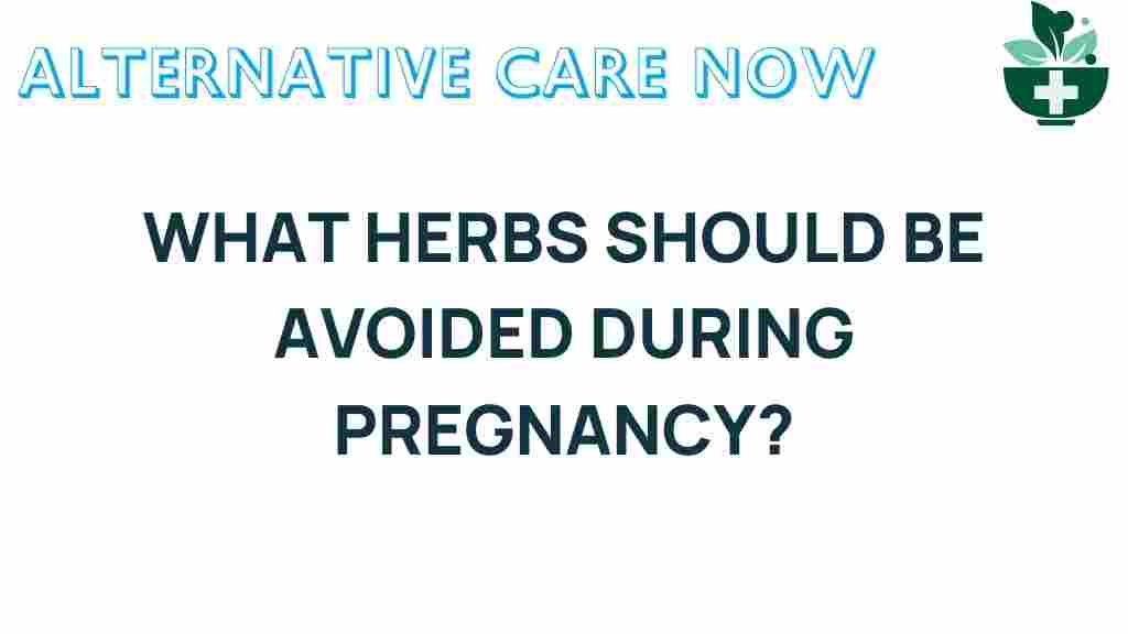 herbs-to-avoid-during-pregnancy