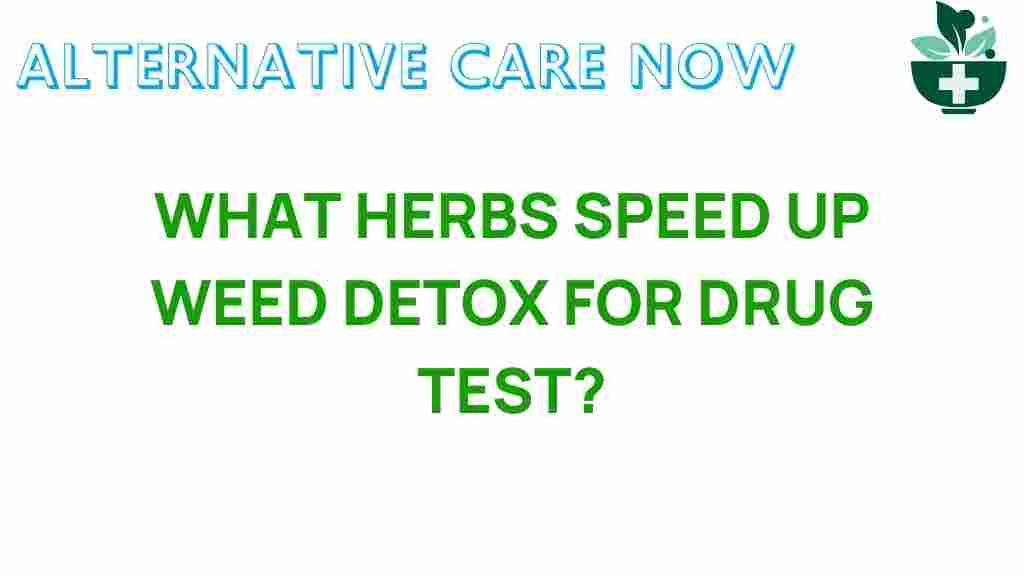 herbs-speed-up-weed-detox