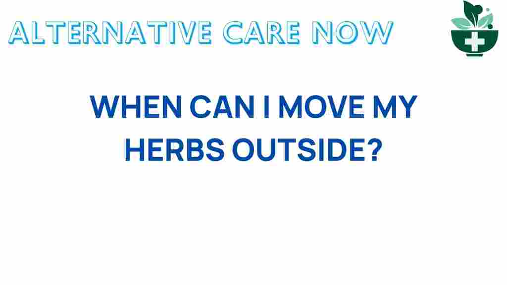 when-should-you-move-your-herbs-outdoors
