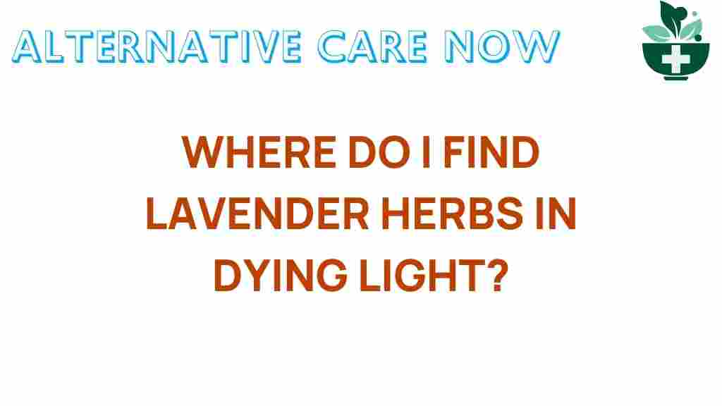 uncover-lavender-herbs-dying-light