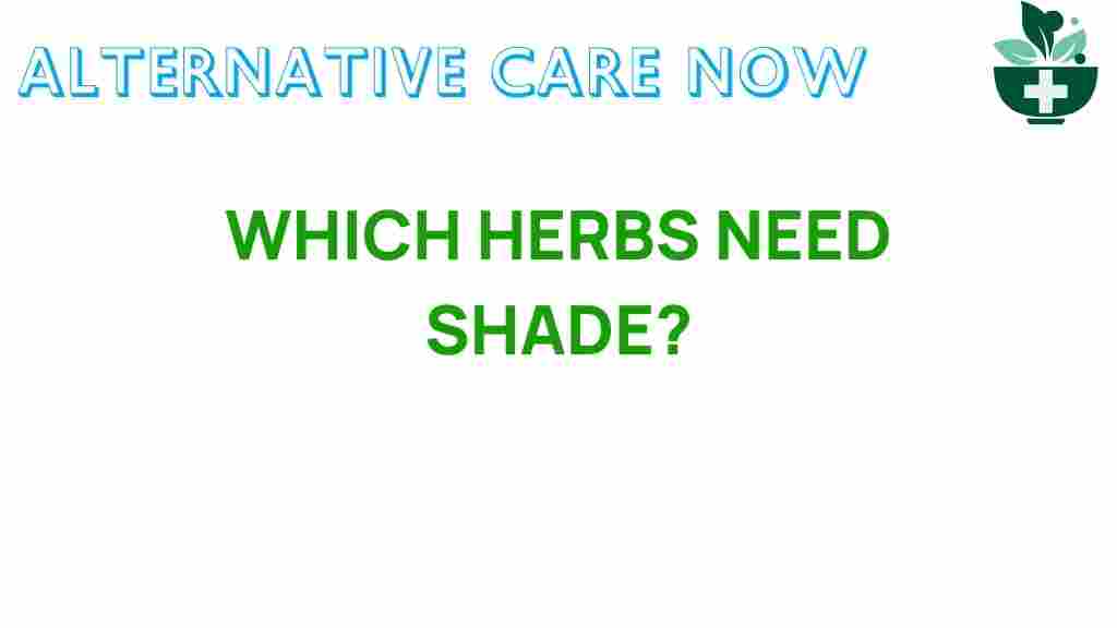 discover-secrets-which-herbs-thrive-in-the-shade