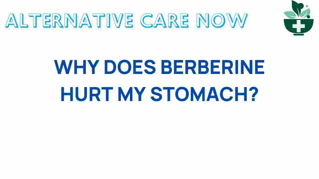 berberine-stomach-pain