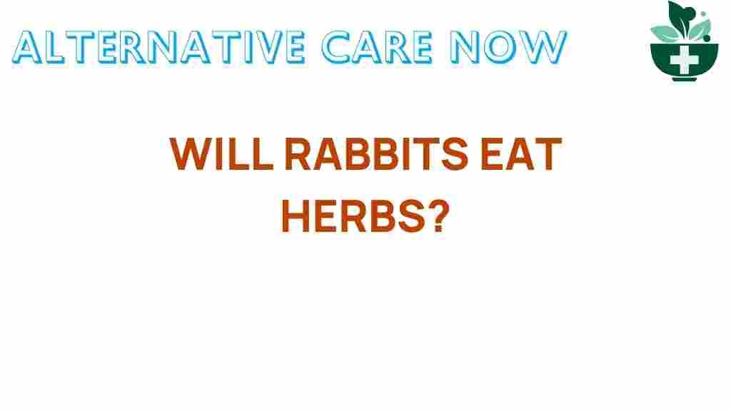 rabbits-eat-herbs